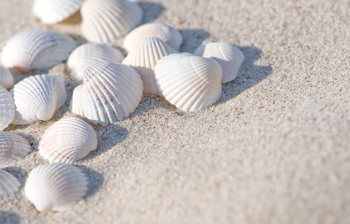 HUT.de - Trendfarbe Sand
